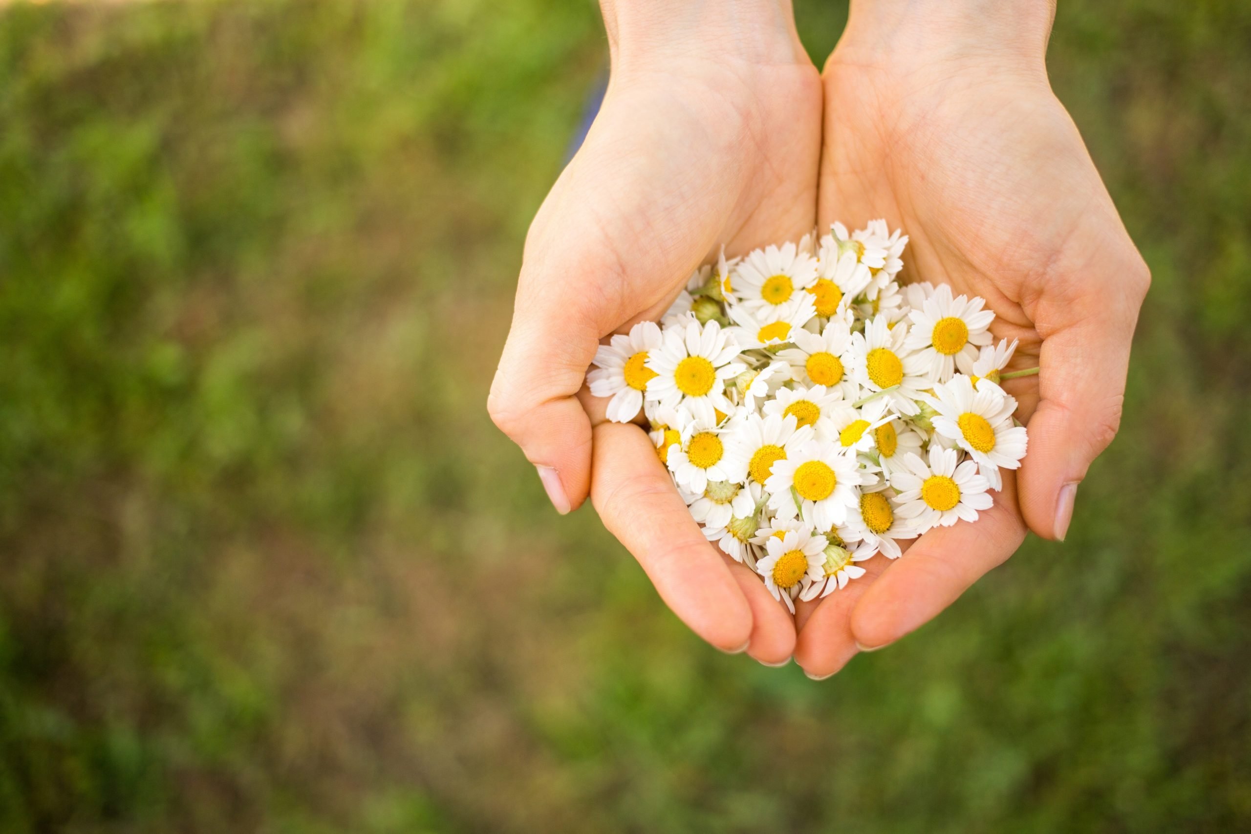 Menopause Friendly Employer Awards’ fundraising supports essential counselling for Daisy Network supporting those impacted by POI or Early Menopause | The Menopause Friendly Employer Awards 2022